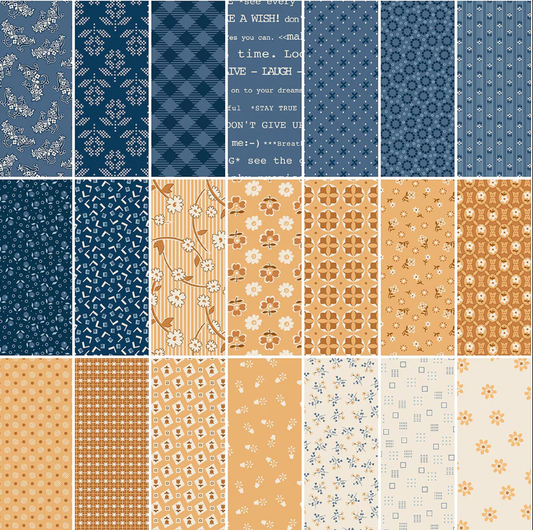 Fresh as a Daisy Sew Along by Lori Holt