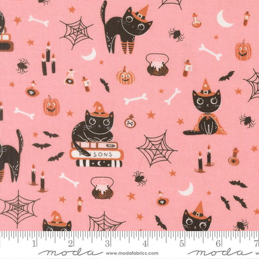 Purrs and Boos Candy 39060 13