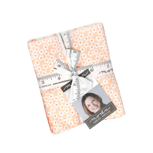Pre-Order Popcorn Fat Quarter Bundle
