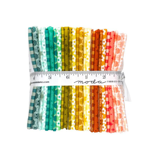 Pre-Order Popcorn Fat Quarter Bundle