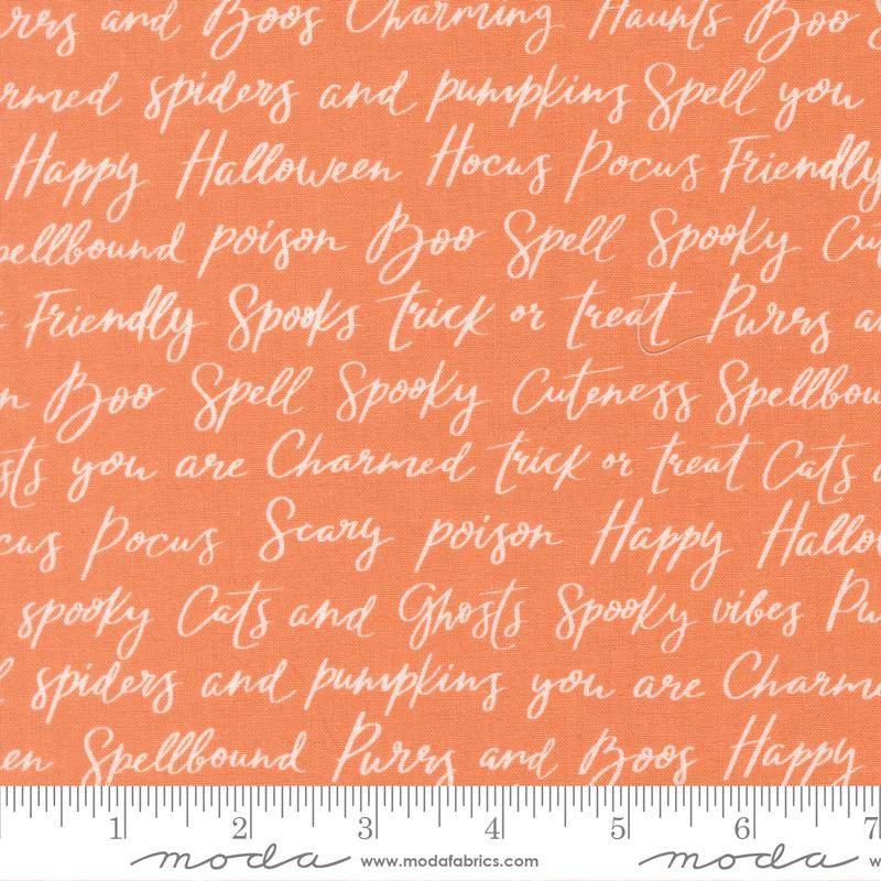 Purrs and Boos Pumpkin 39062 14