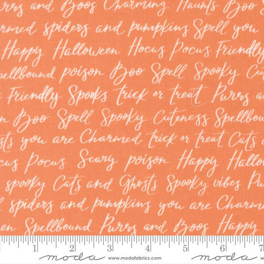 Purrs and Boos Pumpkin 39062 14